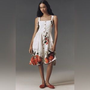 Anthropologie Tomato Button Front Midi Dress